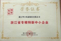 浙江省专精特新中小企业
